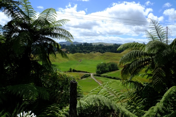 View on the way to Rotorua