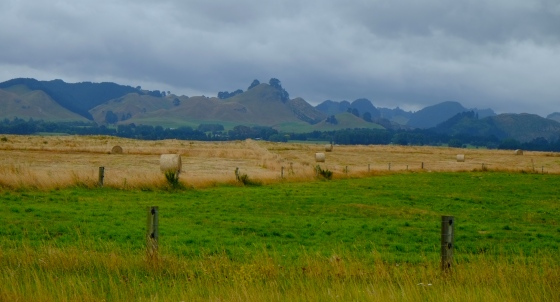 More amazing scenery on the way to Taupo